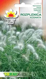 trawa-rozplenica-kosmata-12-szt-t