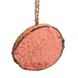 kokos-nadziewany-1-2-jagodowy-karma-dla-ptakow