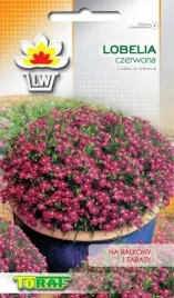 lobelia-czerwona-01g-t