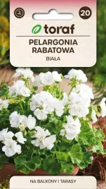 pelargonia-rabatowa-biala-005g-t