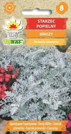 starzec-mrozy-zabkowane-popielaty-02g-t