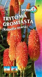 trytoma-gromiasta-05g-l