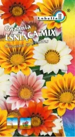 gazania-lsniaca-mieszanka-05g-l
