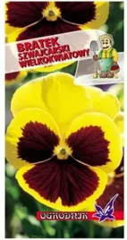 bratek-szwajcarski-kol-zolty-z-plama-03g-o