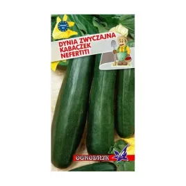 dynia-zwyczajna-kabaczek-nefertiti-2g-o