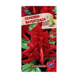szalwia-blyszczaca-czerwona-05g-o