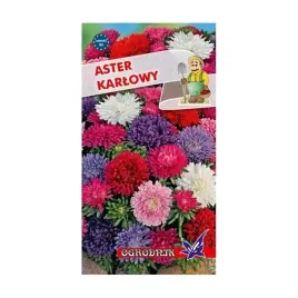 aster-karlowy-mieszanka-1g-o