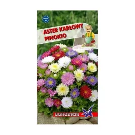 aster-karlowy-pinokio-mieszanka-05g-o