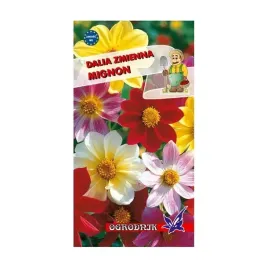 dalia-zmienna-mignon-mieszanka-1g-o