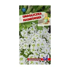 smagliczka-nadmorska-biala-1g-o