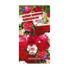gozdzik-ogrodowy-grenadin-05g-o