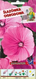 slazowka-ogrodowa-rozowa-1g-o