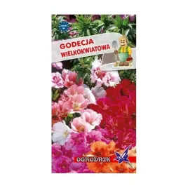 godecja-wielkokwiatowa-mix-1g-o