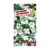 gipsowka-wytworna-biala-1g-o