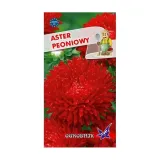 aster-peoniowy-czerwony-1g-o