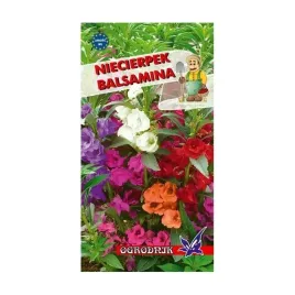 niecierpek-balsamina-1g-o