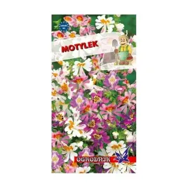 motylek-05g-o