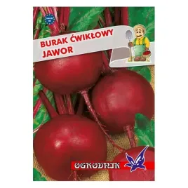 burak-kulisty-jawor-10g-o