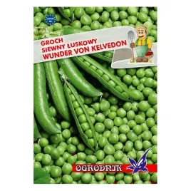 groch-luskowy-wunder-von-kelvedon-40g-o