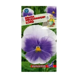 bratek-wielkokwiatowy-lord-beaconsfield-nasiona-03g-o