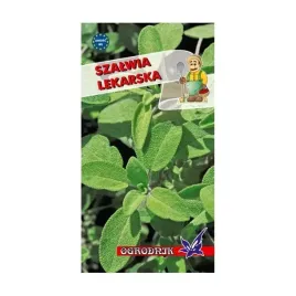 szalwia-lekarska-05g-o