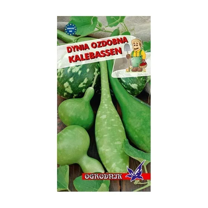 dynia-ozdobna-kalebassen-2g-o
