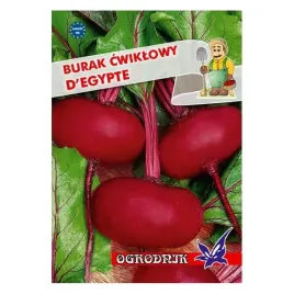 burak-kulisty-splaszczony-egipski-10g-o