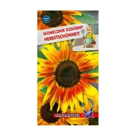slonecznik-ozdobny-wysoki-herbstschonheit-2g-o