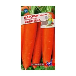 marchew-karotina-sredniowczesna-5g-o