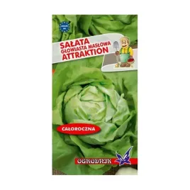 salata-maslowa-attraktion-nasiona-2g-o