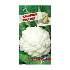 kalafior-pionier-1g-o