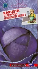 kapusta-czerwona-langendijker-dauer-2g-o