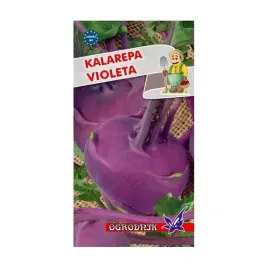 kalarepa-violeta-nasiona-2g-o