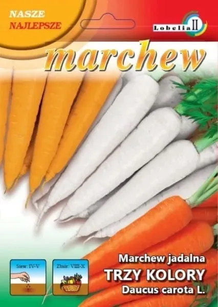 marchew-trzy-koloryg-2g-l