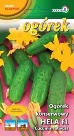 ogorek-konserwowy-hela-5g-l