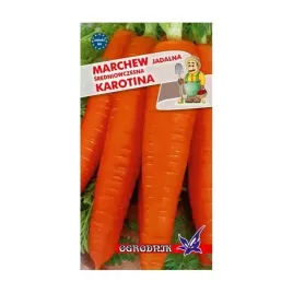 marchew-karotina-sredniowczesna-5g-o