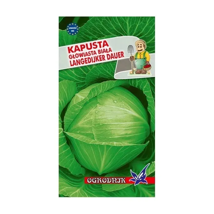 kapusta-langendijker-dauer-2-2g-o