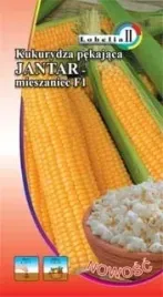 kukurydza-pekajaca-jantar-5g-l