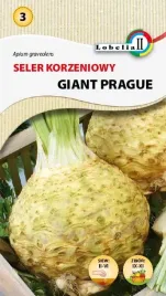 seler-korzeniowy-giant-prague-1g-l