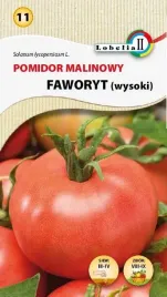 pomidor-gruntowy-faworyt-05g-l