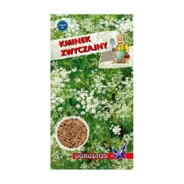 kminek-zwyczajny-05g-o