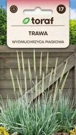 trawa-wydmuchrzyca-piaskowa-nasiona-10-szt-t