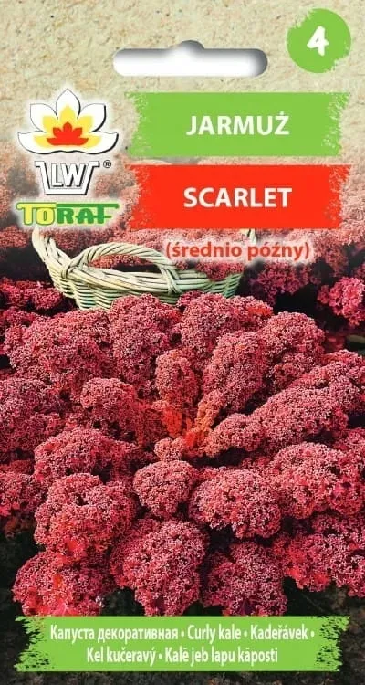 jarmuz-scarlet-1g-t