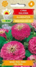 cynia-daliowa-illumination-1g-t