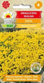 smagliczka-skalna-zolta-02g-t