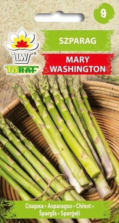 szparag-mary-washington-2g-t