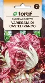 cykoria-lisc-variegata-di-castelfranco-5g-t