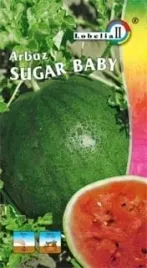 arbuz-sugar-baby-1g-l