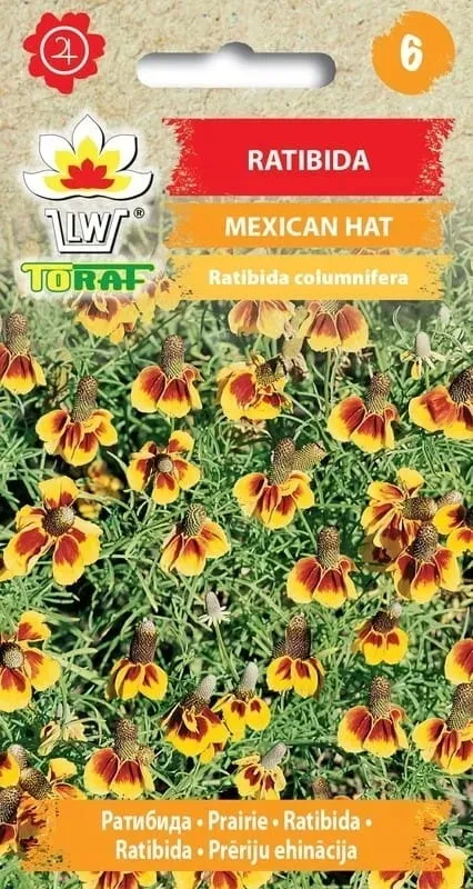 ratibida-mexican-hat-05g-t