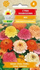 cynia-skabiozowa-mix-1g-t
